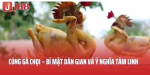 Cách cúng gà chọi J88