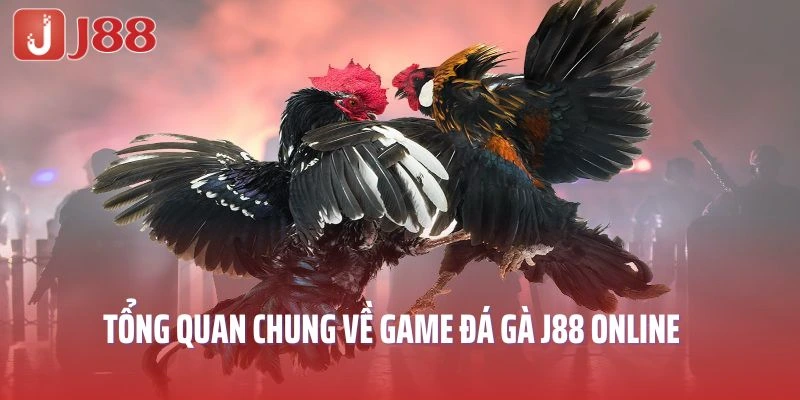 Tổng quan chung về game đá gà J88 online